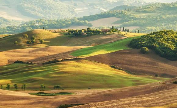 podere castellare yoga